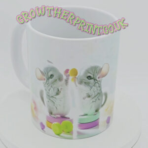 Chinchilla Workout Motivation Mug 1 Of 12